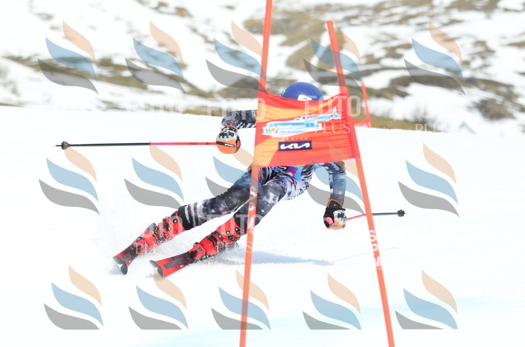 _ELE2715 | holidayphoto