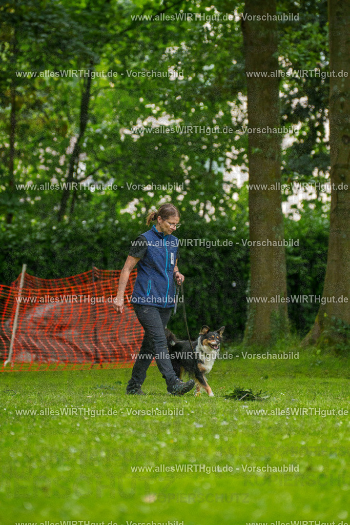 @allesWIRTHgut_Tierfotografie - www.allesWIRTHgut.de - 091652-7R506837 | Professionelle Tierfotografie in Mönchengladbach von Daniel Wirth (allesWIRTHgut). Liebevolle & natürliche Bilder von Hunden & Katzen für unvergessliche Erinnerungen.