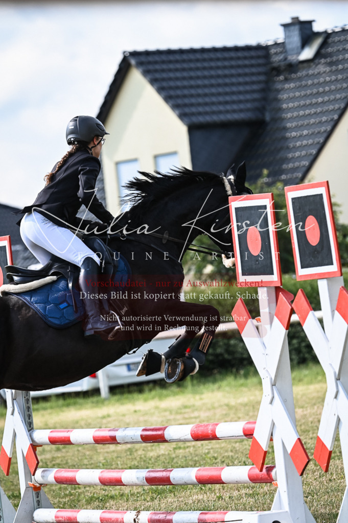 DSC_7879 | Pferde- und Turnierfotografie in Westsachsen. Pferdeportraits, Auftragszeichnungen und intuitive Kunst.