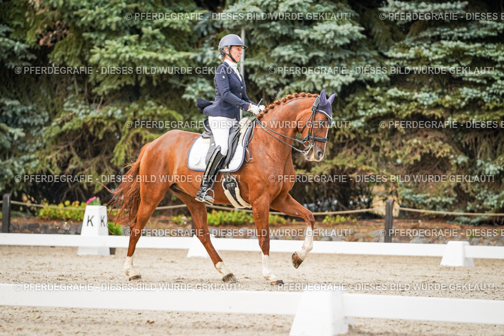 DSC09212 | Pferdegrafie