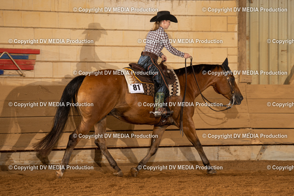 NID01497 | dv-media-shop - Realisiert mit Pictrs.com