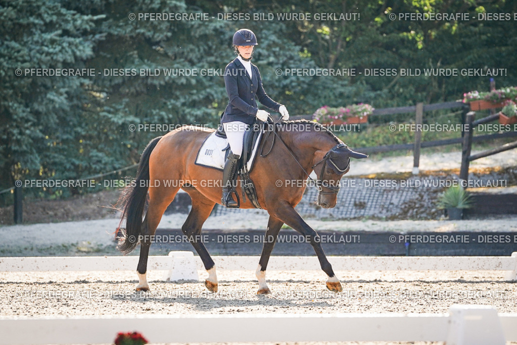 DSC08938 | Pferdegrafie