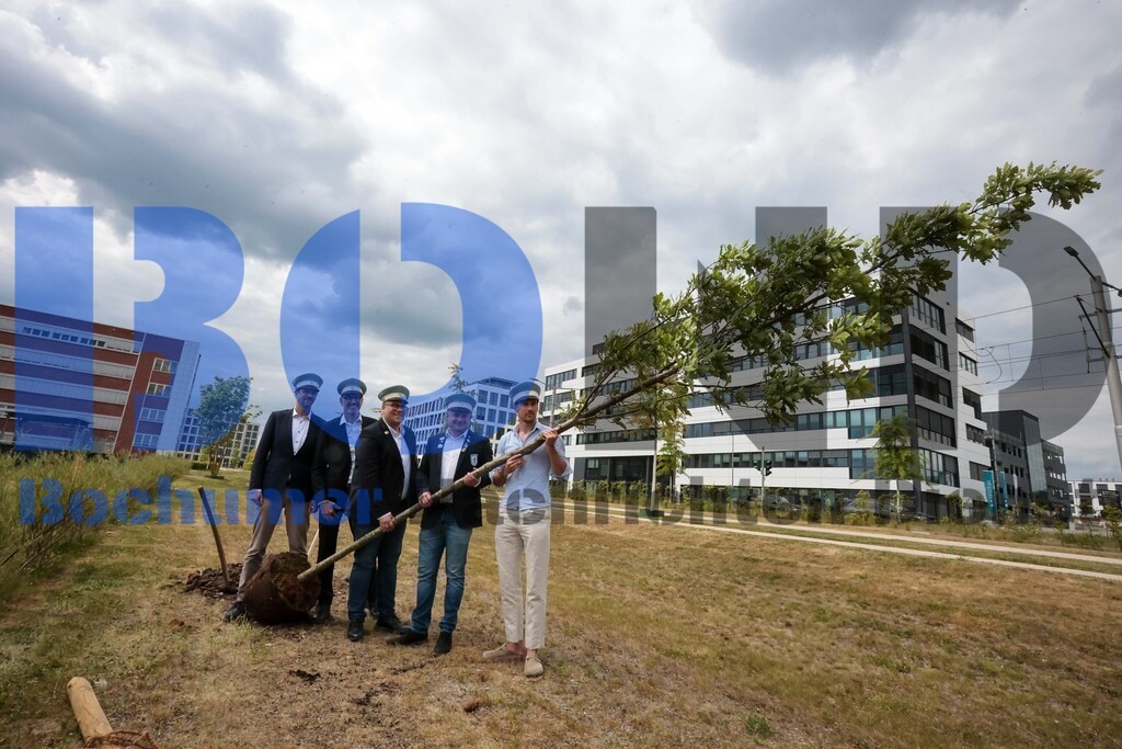 Eicheingrabung | Eicheingrabung - Realisiert mit Pictrs.com