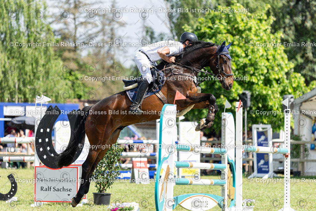 CL5A4464 | Emilia Reinking Fotografie - Realisiert mit Pictrs.com