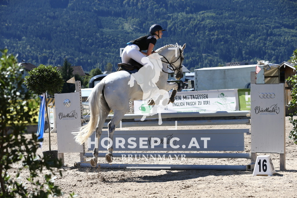 DL2Q0891 | Willkommen bei Brunnmayr - Design & Fotografie – Ihrem Spezialisten für Reitturniere und Pferdeveranstaltungen in Oberösterreich, Salzburg und Bayern! Seit über 17 Jahren sind wir leidenschaftlich dabei.