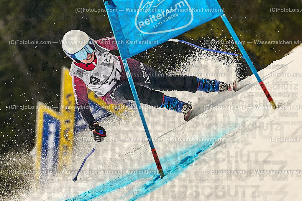 _WWO3667_MASTERS-WM_Reiteralm_CD-SG_FISCHER Sonja | FISWORLD CHAMPIONSHIPSMASTERS ALPINE SKIING, 23. – 28. MÄRZ 2026 - REITERALM | STMK | AUT.   Veranstaltet vom Masters-Referat des Deutschen Skiverbandes (DSV). Durchführende Organisation: WSV Pichl-Reiteralm, unterstütutzt von den Bergbahnen REITERALM bei Schladming und SKI AUSTRIA.                            Disziplinen:  Super-G, GiantSlalom, Slalom.                                                 Kategorien:  A (Herrn 30-59 Jahre), B (Herrn ab 60 Jahre), C (Damen 30-59 Jahre), D (Damen ab 60 Jahre).                Rennstrecken:   Gasselhöhe und Muldenliftpiste auf der Reiteralm.