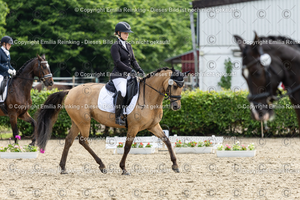 CL5A5187 | Emilia Reinking Fotografie - Realisiert mit Pictrs.com