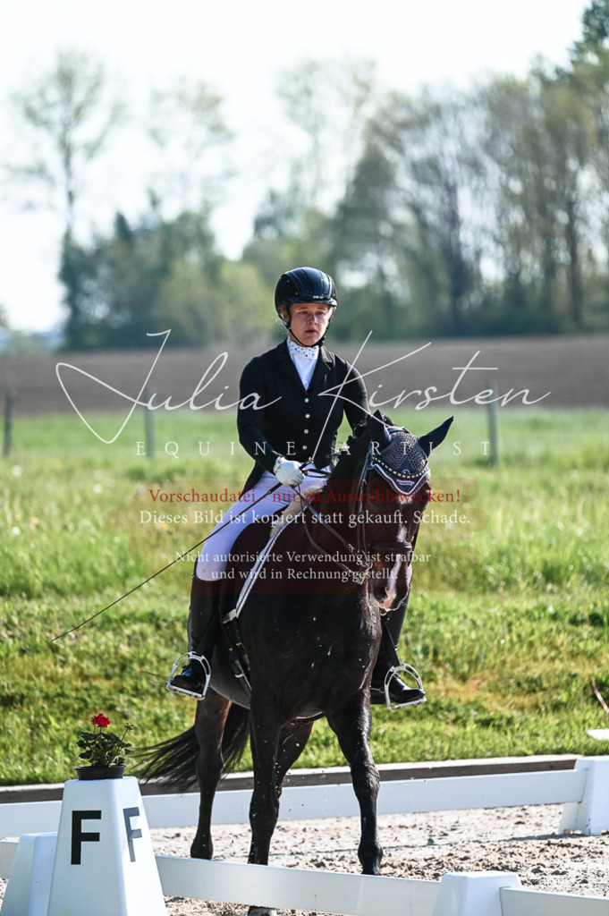 20230514_JK-Röhrsdorf-18-073 | Pferde- und Turnierfotografie in Westsachsen. Pferdeportraits, Auftragszeichnungen und intuitive Kunst.