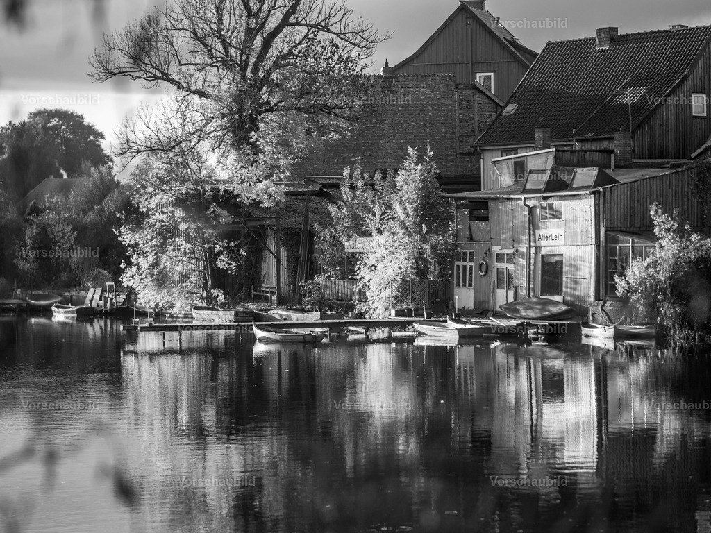 Fotoatelier Christian Hofmeister | Stadtlandschaften, sowie Makro-, Landschafts-, Natur- und Schwarzweißfotos aus der Region Celle &amp; Umgebung
