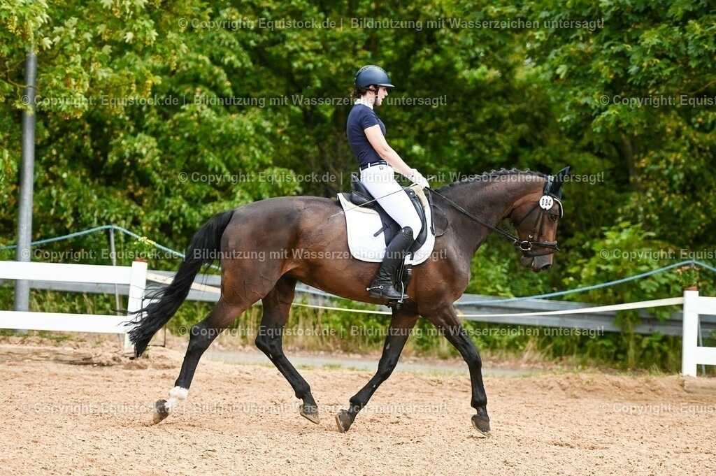 20230715_05_Dressurprüfung Kl.A++_0209 | equistock