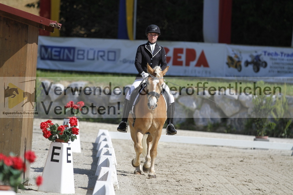 _MG_6506 | equestrian-live-com