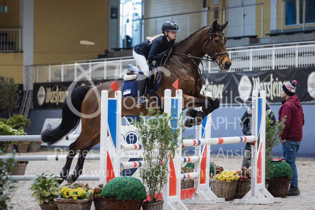 230210_Warstein_Stil-L-156 | Deine schönsten Turniermomente als professionelle Fotos! Entdecke hochwertige Pferdesport-Fotografie im Online-Shop. Jetzt Fotos finden & bestellen!