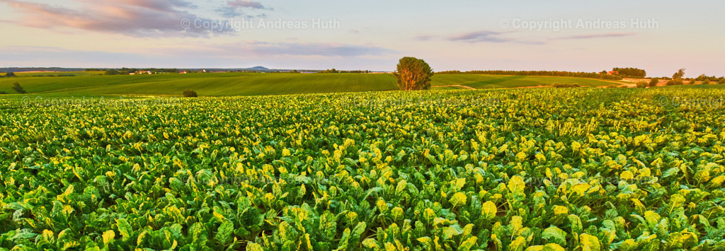 Der Colmberg_ eine weit sichtbare Landmarke 04 | Bedeutsame Landschaften Deutschlands - Realisiert mit Pictrs.com