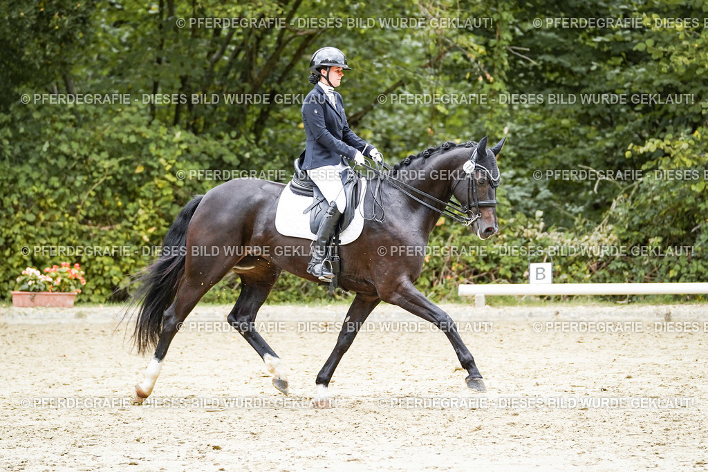 DSC07046 | Pferdegrafie