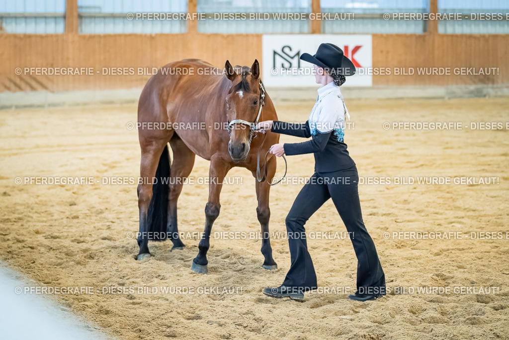 DSC09807 | Pferdegrafie