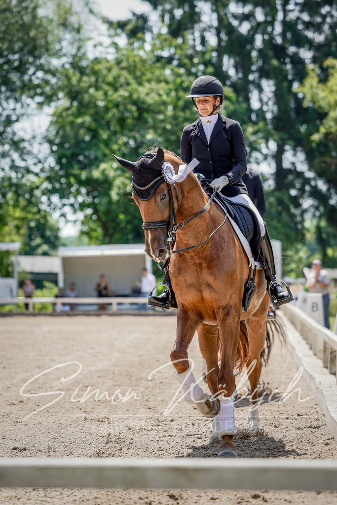 20250621-_3LI7279 | Tierfotografie Pferde, Hunde, Katzen, Haustiere.
Turnierfotografie Reitturniere, Reiten, Springreiten, Dressur in Hanau, dem Main-Kinzig-Kreis und dem Rhein-Main- Gebiet um Frankfurt
