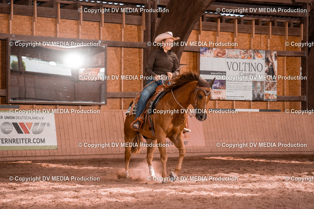 NE100783 | dv-media-shop - Realisiert mit Pictrs.com