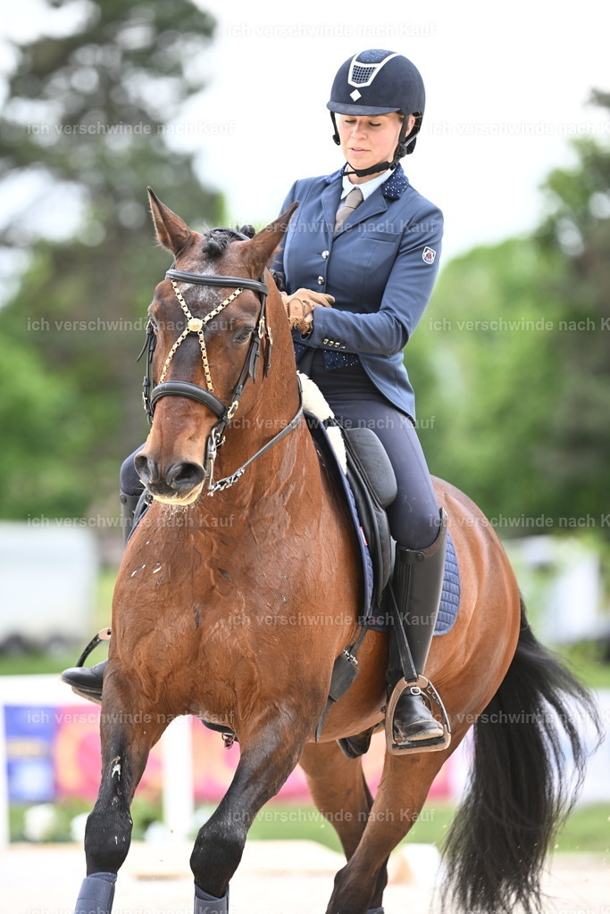 PI26_ST_Sara_Landvogt226_4064.JPG | working equitationturnier fotograf videograf stoibphotography marixx film working equitation deutschland reitsport turnierfotografie eventfotografie equestrian events