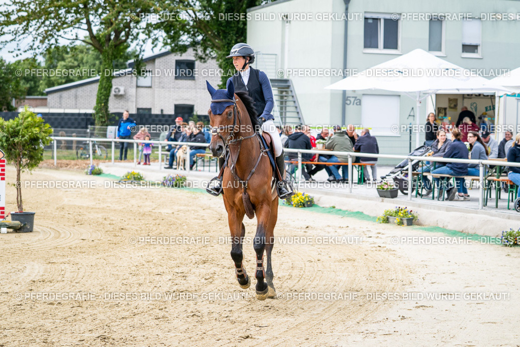 DSC05165 | Pferdegrafie