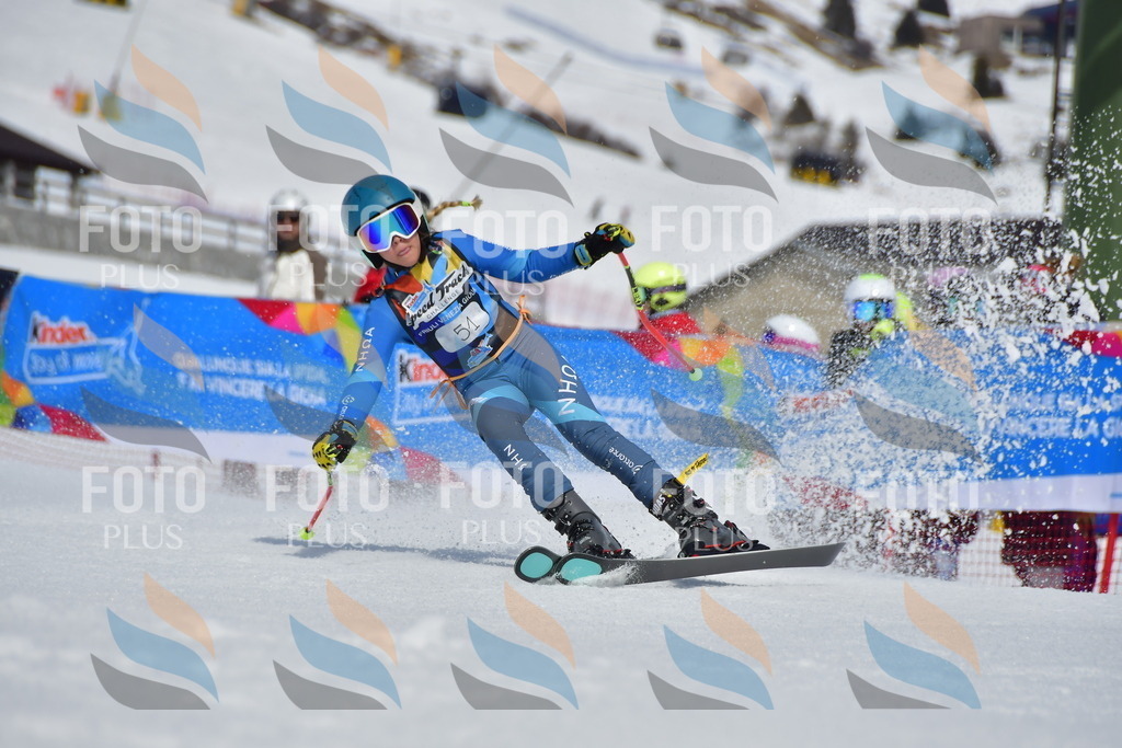 _DSC6985 | holidayphoto