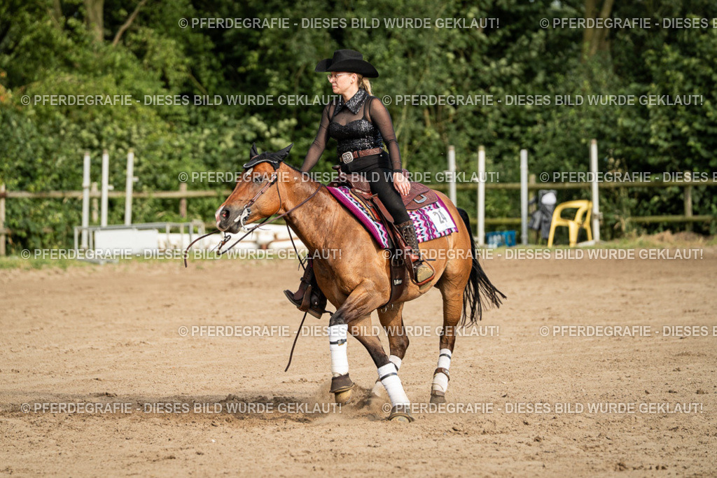 DSC05381 | Pferdegrafie