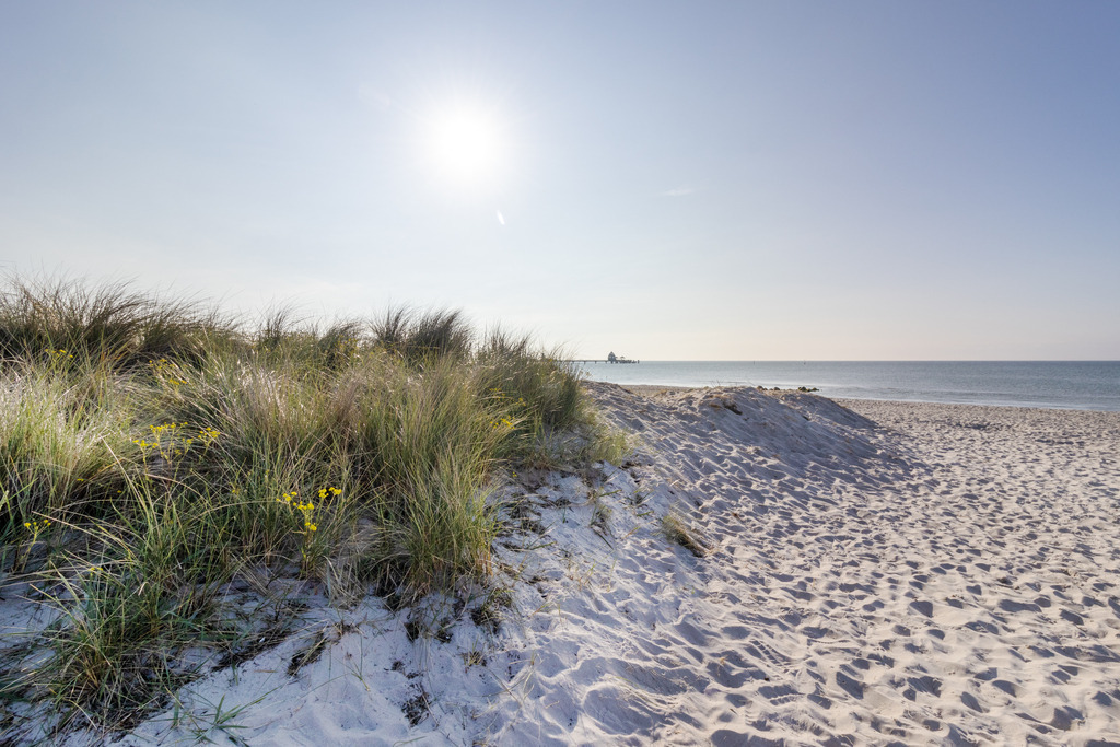 Wandbild: Zwischen Sand und See – Dünenlandschaft mit Weite | Dieses Wandbild zeigt eine helle, ruhige Szene aus der Dünenlandschaft an der Ostsee. Im Vordergrund erstrecken sich weiße Sanddünen, durchzogen von hohen Gräsern, die sich sanft im Wind wiegen. Dazwischen leuchten kleine gelbe Blüten und setzen lebendige Farbakzente in der natürlichen Struktur. Im Hintergrund ist in der Ferne die Seebrücke von Grömitz zu erkennen, die sich elegant ins ruhige Meer erstreckt und der Szene Tiefe und Richtung verleiht. Der Himmel ist wolkenlos und strahlt in hellem Blau, das Sonnenlicht fällt weich auf die Vegetation und schafft eine friedliche, fast meditative Atmosphäre. Die Komposition lebt vom Wechselspiel aus Detail und Fernsicht, aus Farbe und Klarheit – ein stiller Moment inmitten der Küstennatur. Dieses Motiv eignet sich ideal als Wandbild für naturnahe Wohnkonzepte – ob als Leinwandbild, Acrylglasbild, Alu-Dibond FineArt Print oder als Akustikbild. Ein stilvoller Akzent für Wohnzimmer, Büro oder Ferienwohnung. - Realisiert mit Pictrs.com