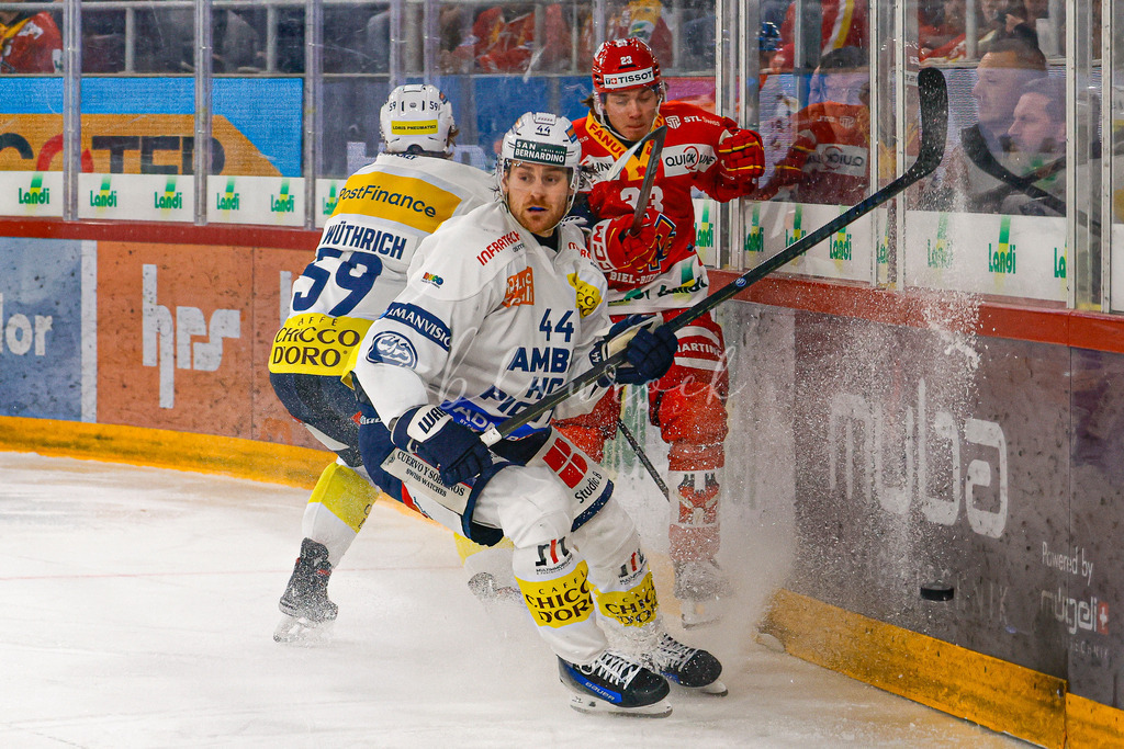 EHCB vs HCAP 20260115_wb-4208 | Sportbilder, Sportfotograf, Hochzeits- und Eventfotografin, Flugshows, Portraits und Tiershooting, Aviation, Downhill, Nationalleague, Swissleague, International