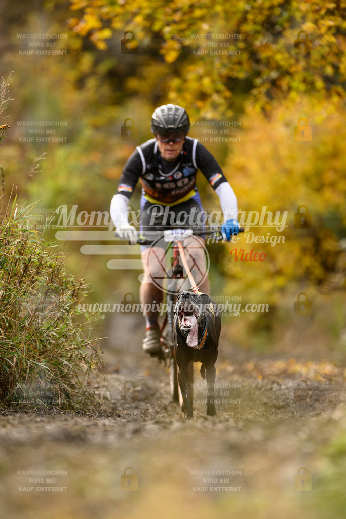 MompixPhotography_ICF_WC_2024_SA_Bike_-198 | PayLife