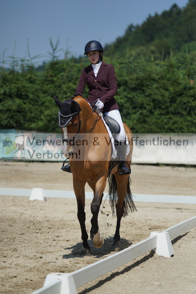 DSC01753 | equestrian-live-com