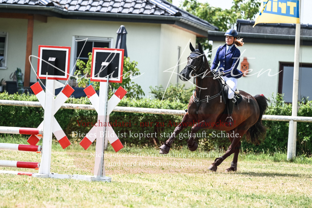 DSC_9202 | Pferde- und Turnierfotografie in Westsachsen. Pferdeportraits, Auftragszeichnungen und intuitive Kunst.