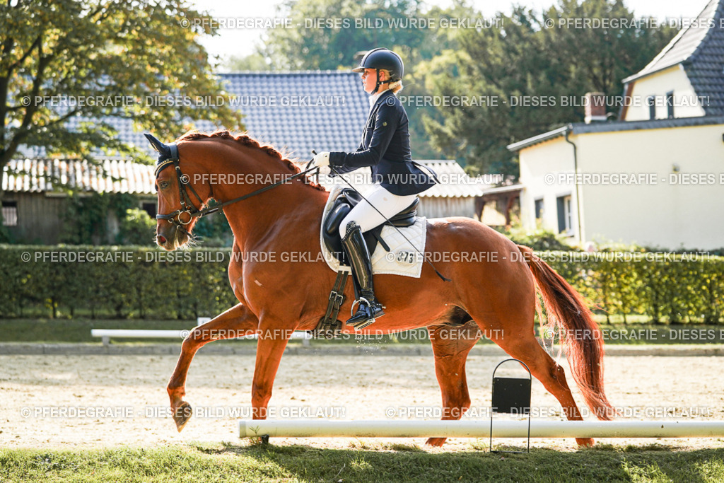 DSC07408 | Pferdegrafie