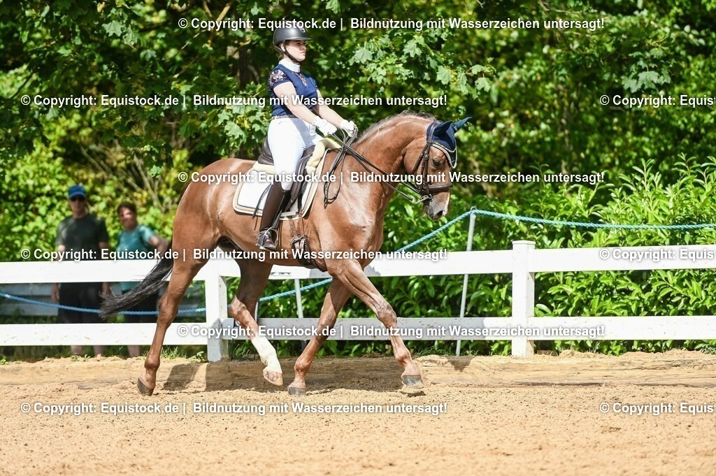 20230716_01_Dressurprüfung Kl.M_0350 | equistock