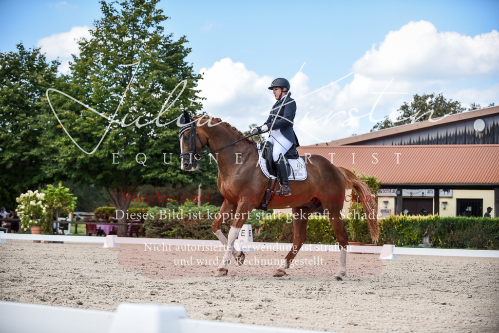 DSC_9340 | Pferde- und Turnierfotografie in Westsachsen. Pferdeportraits, Auftragszeichnungen und intuitive Kunst.
