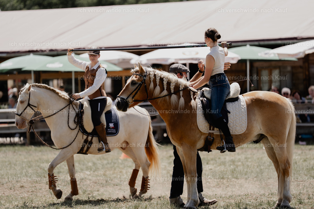 _DSC6978 | working equitationturnier fotograf videograf stoibphotography marixx film working equitation deutschland reitsport turnierfotografie eventfotografie equestrian events