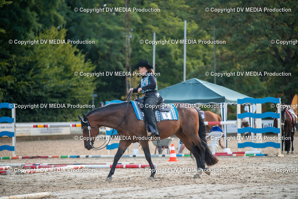 ZS3_9249 | dv-media-shop - Realisiert mit Pictrs.com