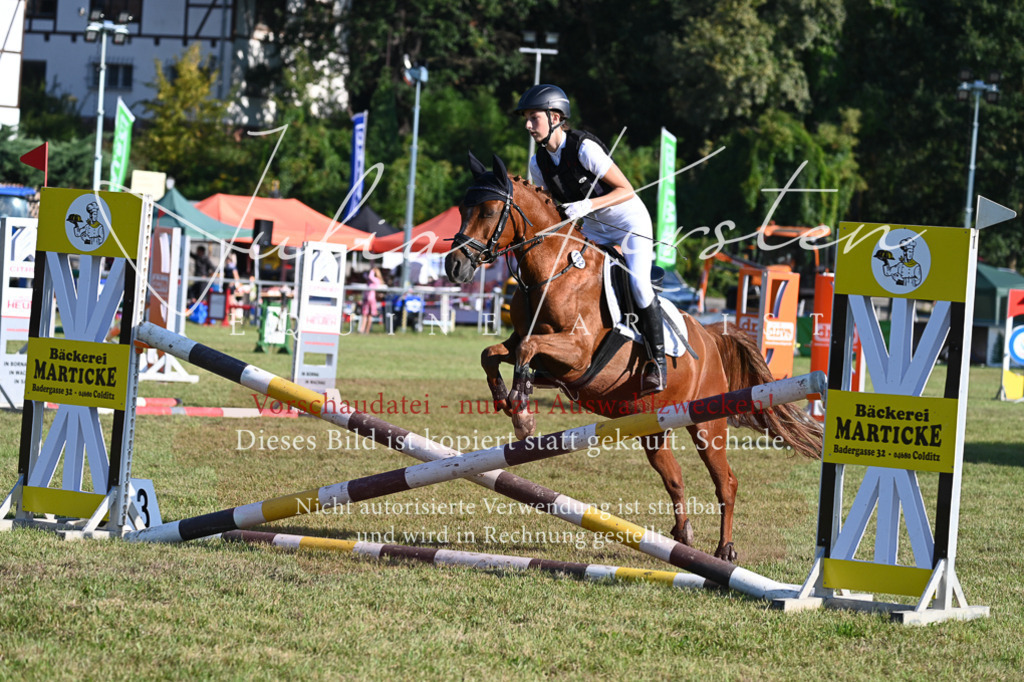 DSC_4803 | Pferde- und Turnierfotografie in Westsachsen. Pferdeportraits, Auftragszeichnungen und intuitive Kunst.