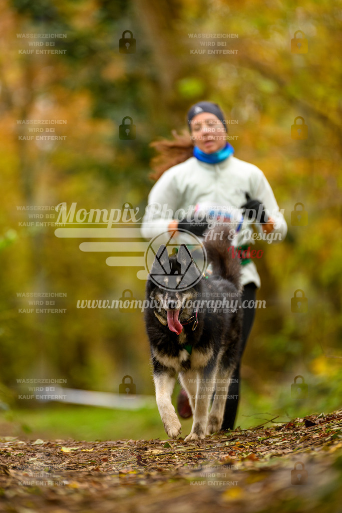 MompixPhotography_Bischwiller24_SA_Canicross-99 | PayLife