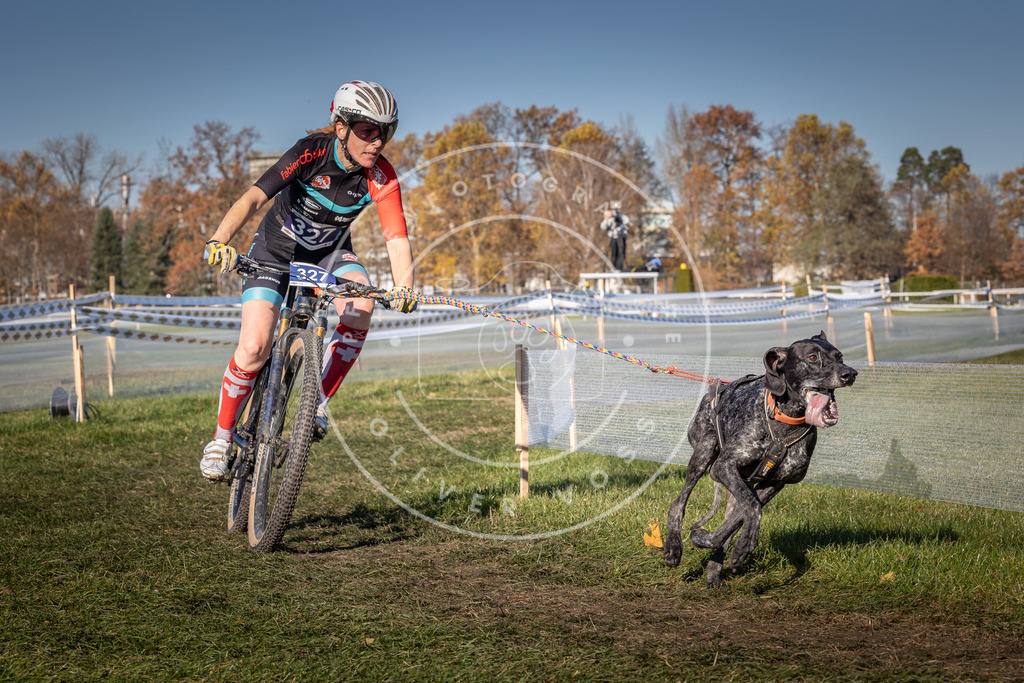 CaniXpix_0L8A5778 | Hundefotografie, Tierfotograf, Pfotenfotografie, Fotoshooting Hund, Hunde Portrait, Hundesport, Hundeportraits, Heideshooting, Hunde, Sportfotograf, Hundefotograf, Turnierhundsport, THS,  - Realisiert mit Pictrs.com