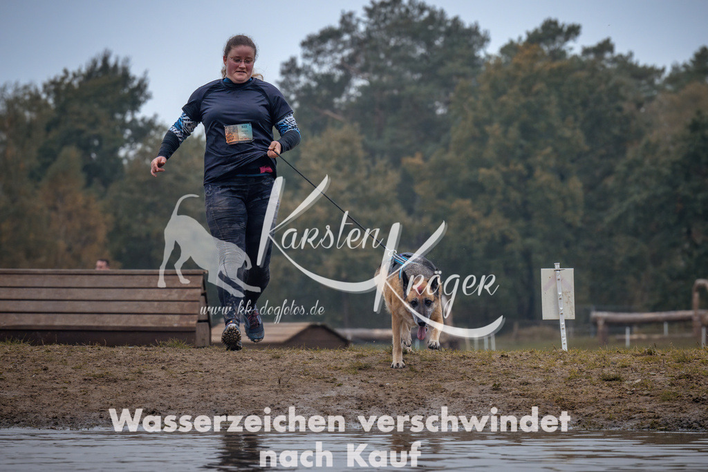 1305_ZZ92791 | kk-dogfotos