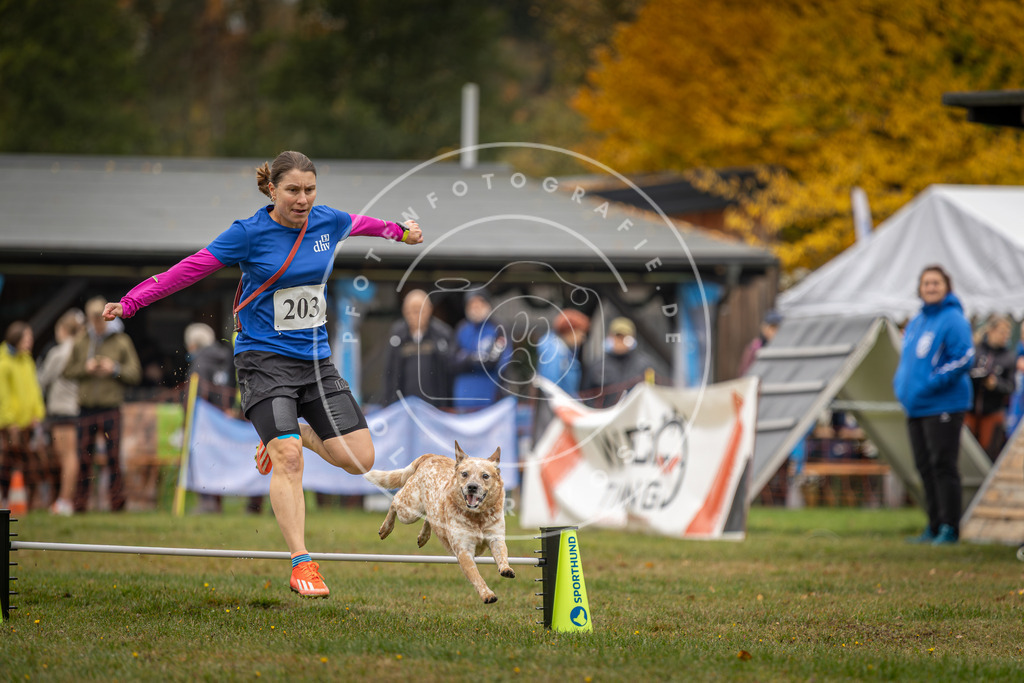 Pfotenfotografie_DV3A1654 | Hundefotografie, Tierfotograf, Pfotenfotografie, Fotoshooting Hund, Hunde Portrait, Hundesport, Hundeportraits, Heideshooting, Hunde, Sportfotograf, Hundefotograf, Turnierhundsport, THS,  - Realisiert mit Pictrs.com
