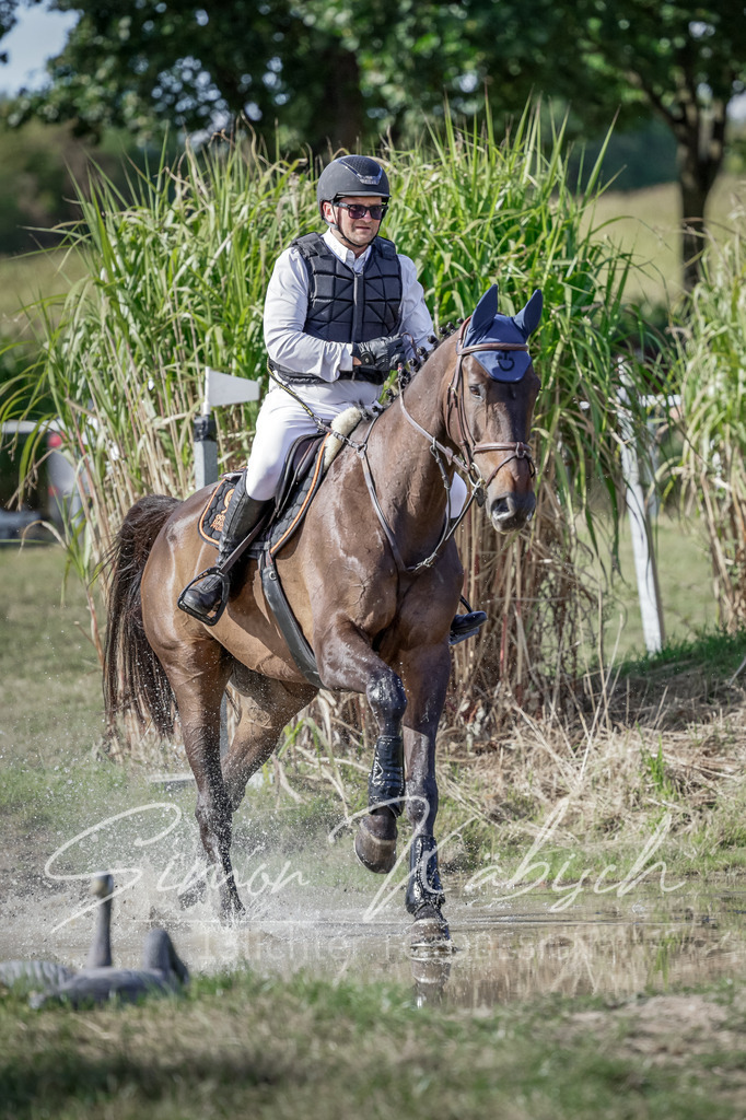 20250906-_3LI7107 | Tierfotografie Pferde, Hunde, Katzen, Haustiere.
Turnierfotografie Reitturniere, Reiten, Springreiten, Dressur in Hanau, dem Main-Kinzig-Kreis und dem Rhein-Main- Gebiet um Frankfurt
