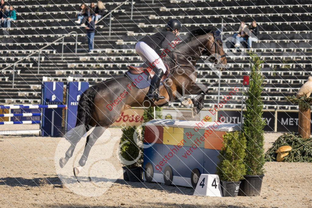 IMG_3321 | Sport-, Event- und Tierfotos in Profiqualität. Einfach auswählen, bestellen und herunterladen. Dein Moment – perfekt festgehalten.