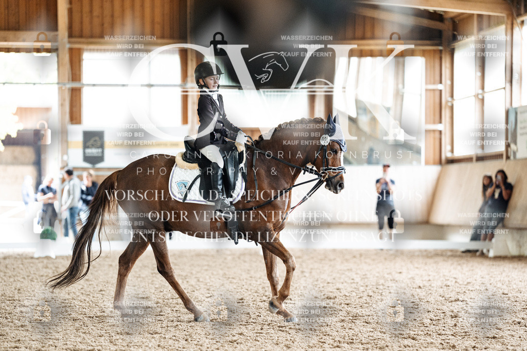CK901676 | Turnierfotografie Pferdefotografie Trier Rheinland-Pfalz Pferdesport Reitsport Tierfotografie Sportfotografie Pferdevideo Pferdevideografie Equestrianvideography equestrianphotography  - Realisiert mit Pictrs.com