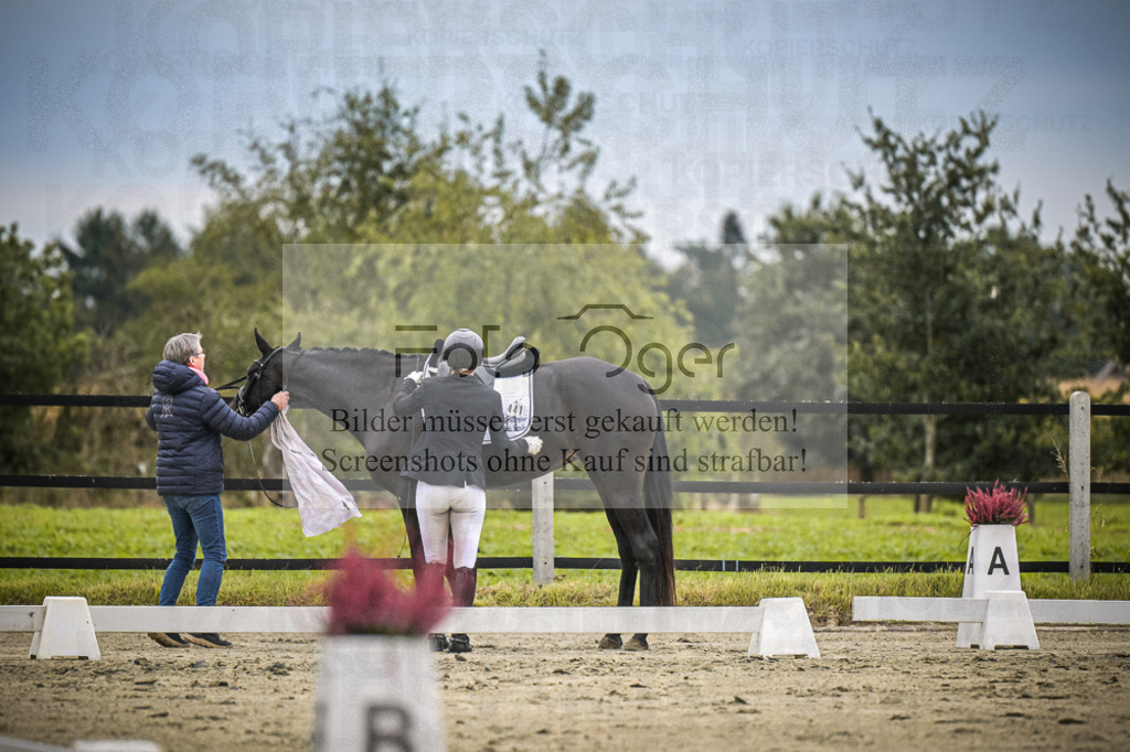DOS_1580 | Entdecke hochwertige Reitturnierfotos von Foto Oger. Professionell, emotional und authentisch – jetzt Lieblingsmomente im Shop bestellen.Deutschlandweite Turnierfotografie. - Realisiert mit Pictrs.com