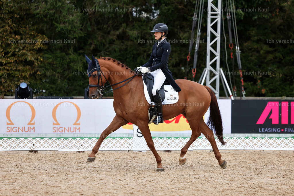 12-220-DRESSUR  S___  -StoibPH-5311 | working equitationturnier fotograf videograf stoibphotography marixx film working equitation deutschland reitsport turnierfotografie eventfotografie equestrian events