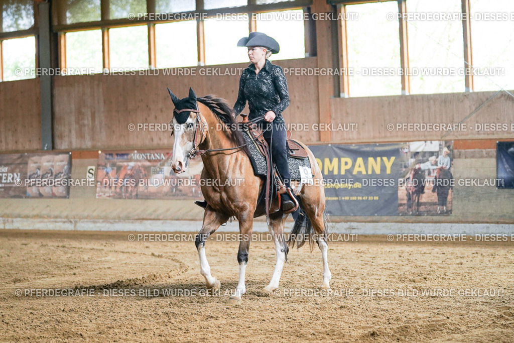 DSC05559 | Pferdegrafie