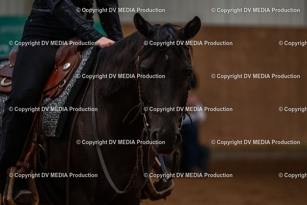 Neckargemünd Tag 3-141 | dv-media-shop - Realisiert mit Pictrs.com