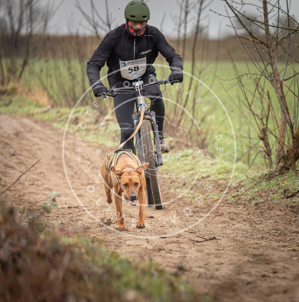DV3A9126 | Hundefotografie, Tierfotograf, Pfotenfotografie, Fotoshooting Hund, Hunde Portrait, Hundesport, Hundeportraits, Heideshooting, Hunde, Sportfotograf, Hundefotograf, Turnierhundsport, THS,  - Realisiert mit Pictrs.com