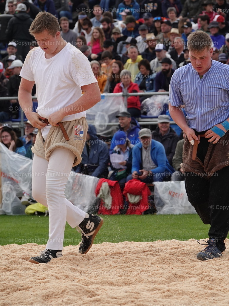 DSC06296 | Schwingen - Realisiert mit Pictrs.com