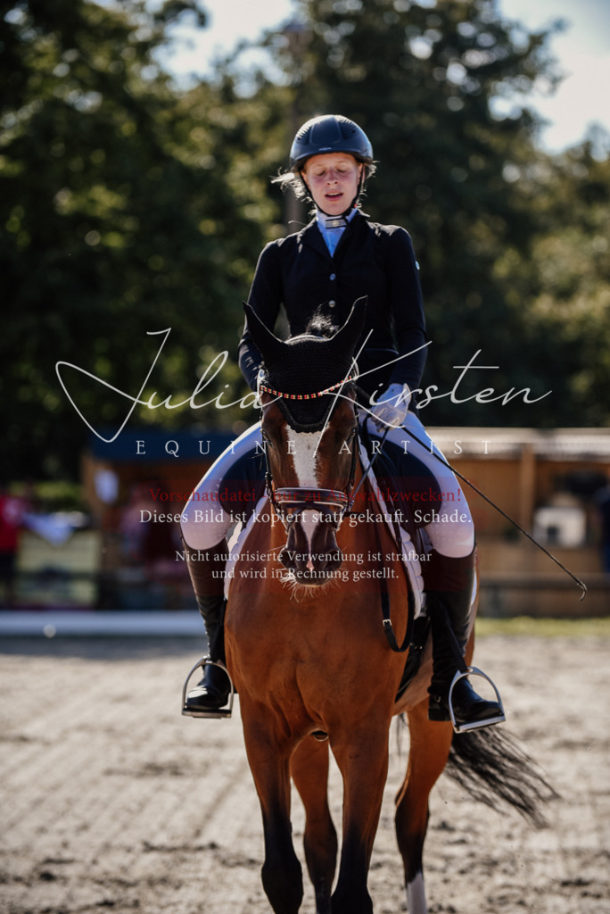 DSC_0356 | Pferde- und Turnierfotografie in Westsachsen. Pferdeportraits, Auftragszeichnungen und intuitive Kunst.